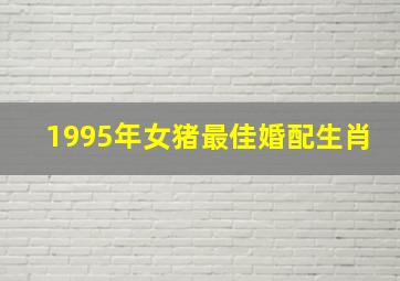 1995年女猪最佳婚配生肖