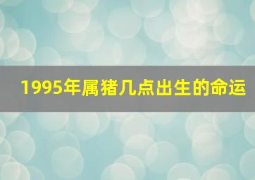 1995年属猪几点出生的命运