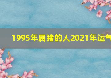 1995年属猪的人2021年运气