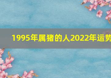 1995年属猪的人2022年运势