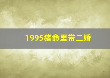 1995猪命里带二婚