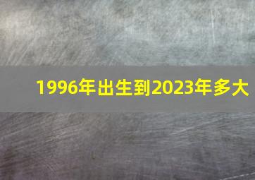 1996年出生到2023年多大