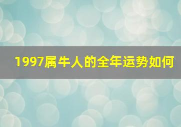 1997属牛人的全年运势如何