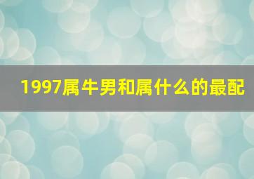 1997属牛男和属什么的最配