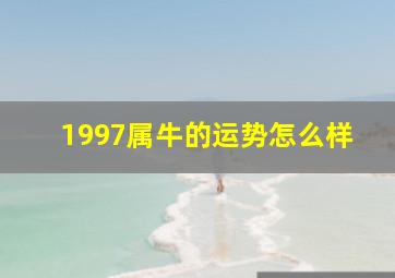 1997属牛的运势怎么样