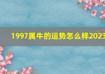 1997属牛的运势怎么样2023