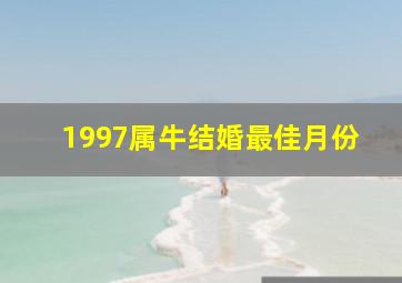 1997属牛结婚最佳月份