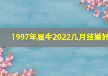 1997年属牛2022几月结婚好