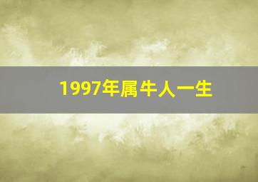 1997年属牛人一生