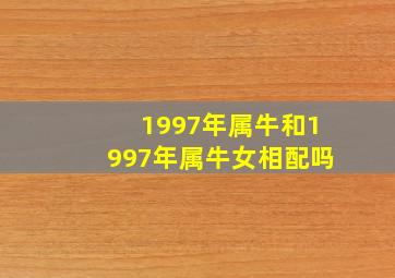 1997年属牛和1997年属牛女相配吗