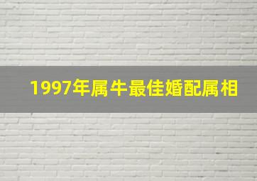 1997年属牛最佳婚配属相