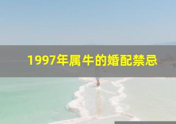 1997年属牛的婚配禁忌