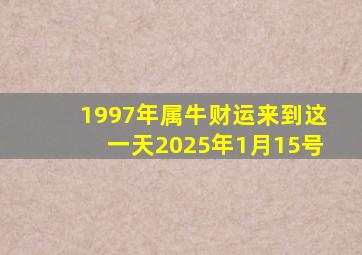 1997年属牛财运来到这一天2025年1月15号