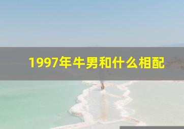 1997年牛男和什么相配