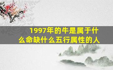 1997年的牛是属于什么命缺什么五行属性的人