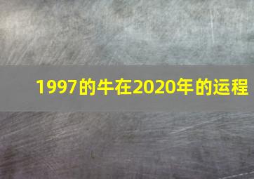 1997的牛在2020年的运程