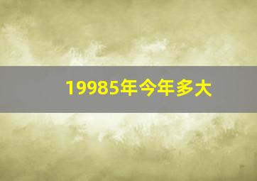 19985年今年多大