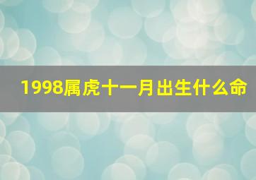 1998属虎十一月出生什么命