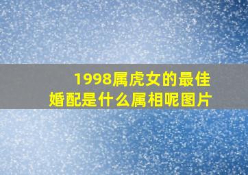 1998属虎女的最佳婚配是什么属相呢图片