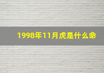 1998年11月虎是什么命