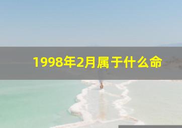 1998年2月属于什么命