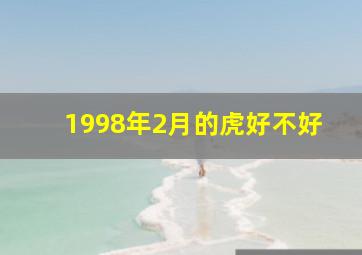 1998年2月的虎好不好