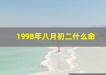 1998年八月初二什么命