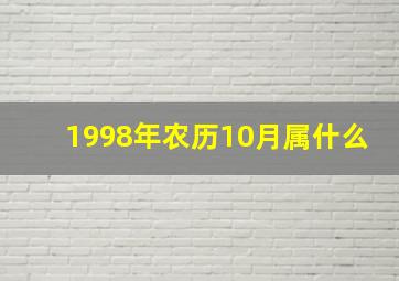 1998年农历10月属什么