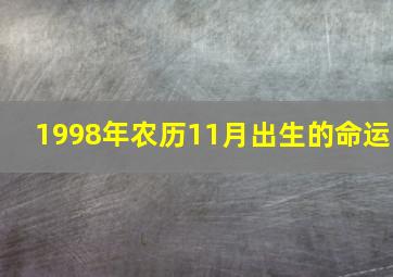 1998年农历11月出生的命运