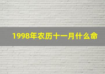 1998年农历十一月什么命