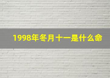 1998年冬月十一是什么命