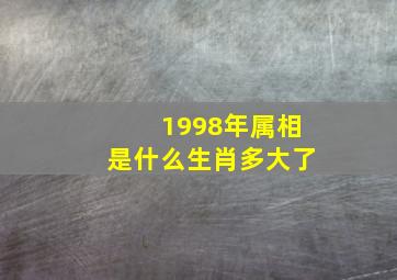 1998年属相是什么生肖多大了