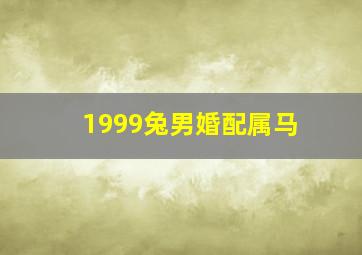 1999兔男婚配属马