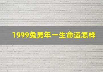 1999兔男年一生命运怎样