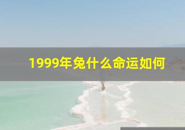 1999年兔什么命运如何