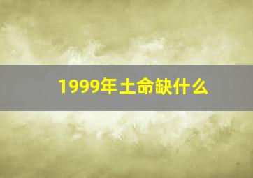 1999年土命缺什么