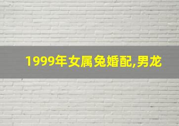 1999年女属兔婚配,男龙