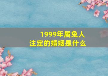 1999年属兔人注定的婚姻是什么