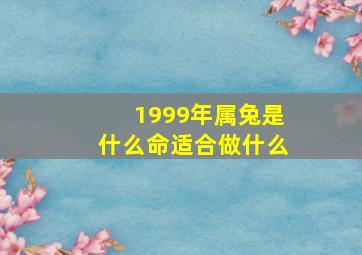 1999年属兔是什么命适合做什么