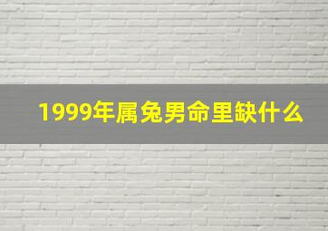 1999年属兔男命里缺什么