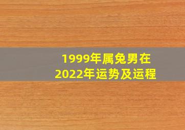 1999年属兔男在2022年运势及运程