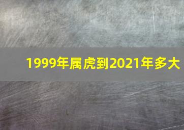 1999年属虎到2021年多大