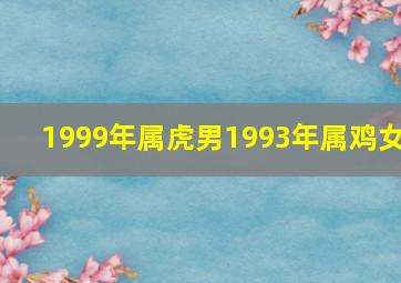 1999年属虎男1993年属鸡女