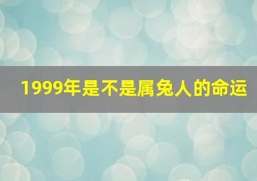 1999年是不是属兔人的命运