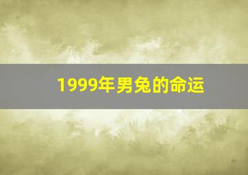 1999年男兔的命运