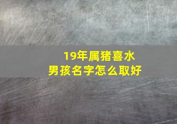 19年属猪喜水男孩名字怎么取好