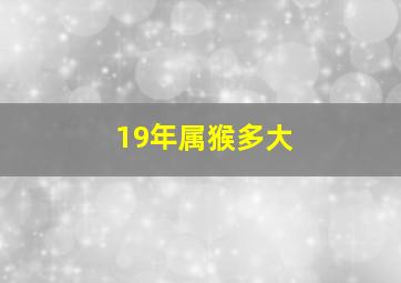 19年属猴多大