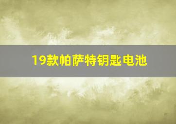 19款帕萨特钥匙电池