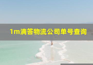 1m滴答物流公司单号查询