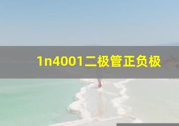 1n4001二极管正负极